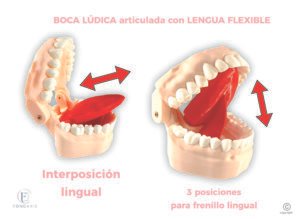Boca Lúdica Articulada Con Lengua Flexible