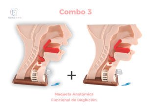 Maqueta Anatómica Funcional De Deglución x2